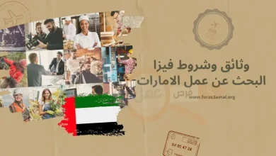 وثائق وشروط فيزا البحث عن عمل الامارات 2024