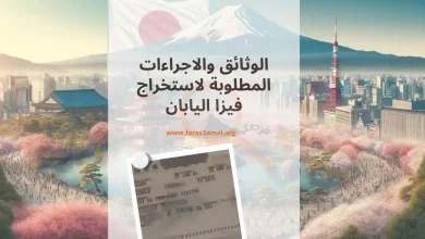 فيزا اليابان 2024 .. الوثائق والاجراءات المطلوبة والدول العربية المعفية من التأشيرة