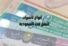 كل ما يجب معرفته حول أنواع تأشيرات العمل في السعودية 2024