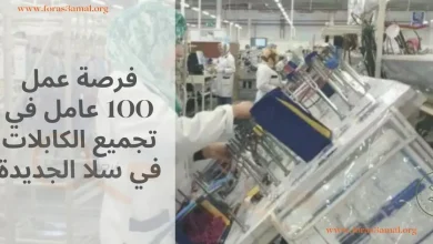 فرصة عمل 100 عامل في تجميع الكابلات في سلا الجديدة