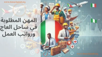 فرص العمل في ساحل العاج 2024 .. المهن المطلوبة ورواتب العمل