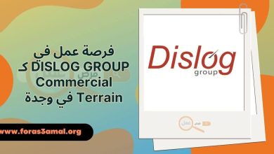 فرصة عمل في DISLOG GROUP كـ Commercial Terrain في وجدة 2024