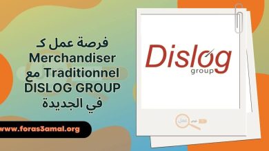 فرصة عمل كـ Merchandiser Traditionnel مع DISLOG GROUP في الجديدة