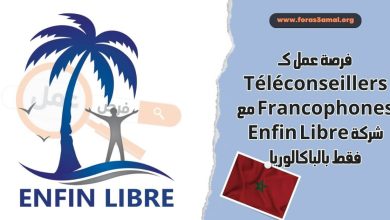 فرصة عمل كـ Téléconseillers Francophones مع شركة Enfin Libre - فقط بالباكالوريا