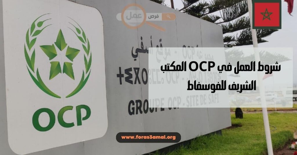 شروط العمل في OCP المكتب الشريف للفوسفاط