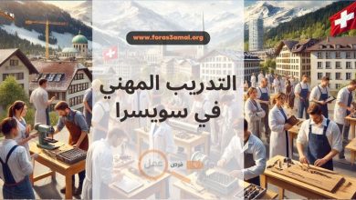 التدريب المهني في سويسرا 2024 فرص تعليمية متميزة