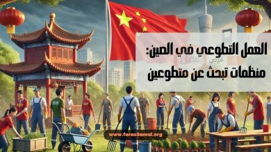 العمل التطوعي في الصين 2024 منظمات تبحث عن متطوعين