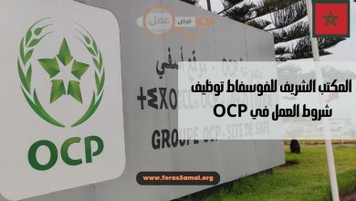 المكتب الشريف للفوسفاط توظيف 2024 شروط العمل في OCP