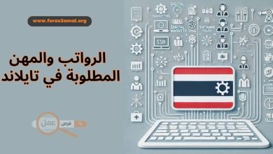 المهن المطلوبة في تايلاند 2024 .. الرواتب في تايلاند بالدولار