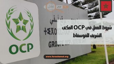 شروط العمل في OCP المكتب الشريف للفوسفاط