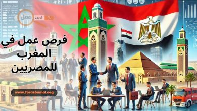 فرص عمل في المغرب للمصريين آفاق جديدة وتحديات مشوقة