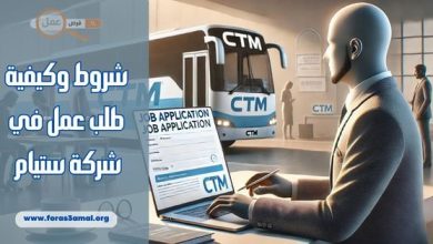 شروط وكيفية طلب عمل في شركة ستيام 2025