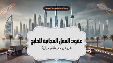 عقود العمل المجانية للخليج 2025 هل هي حقيقة أم خيال؟