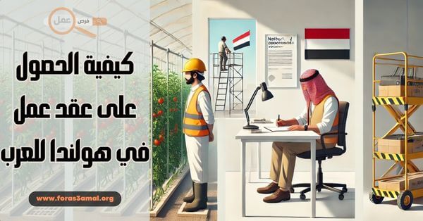 كيفية الحصول على عقد عمل في هولندا للعرب 2025