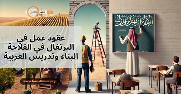 كيفية الحصول على عقود عمل في البرتغال في الفلاحة البناء وتدريس العربية 2025