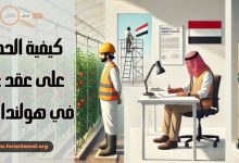 كيفية الحصول على عقد عمل في هولندا للعرب 2025