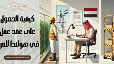 كيفية الحصول على عقد عمل في هولندا للعرب 2025