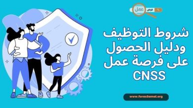 شروط التوظيف في الضمان الاجتماعي 2025 دليل الحصول على فرصة عمل CNSS